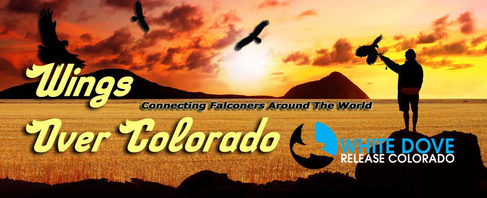 Wings Over ColoradoWings Over Colorado • Breeding Birds-of-Prey