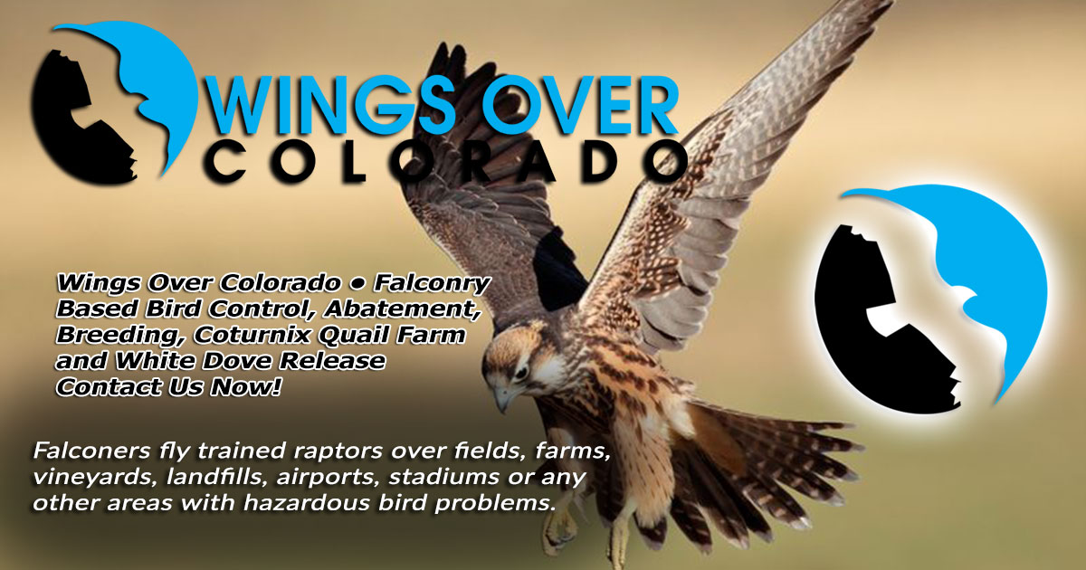 Wings Over ColoradoWings Over Colorado • Breeding Birds-of-Prey